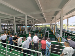 pg电子游戏试玩(中国)官方网站