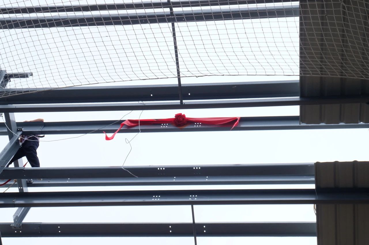 pg电子游戏试玩(中国)官方网站